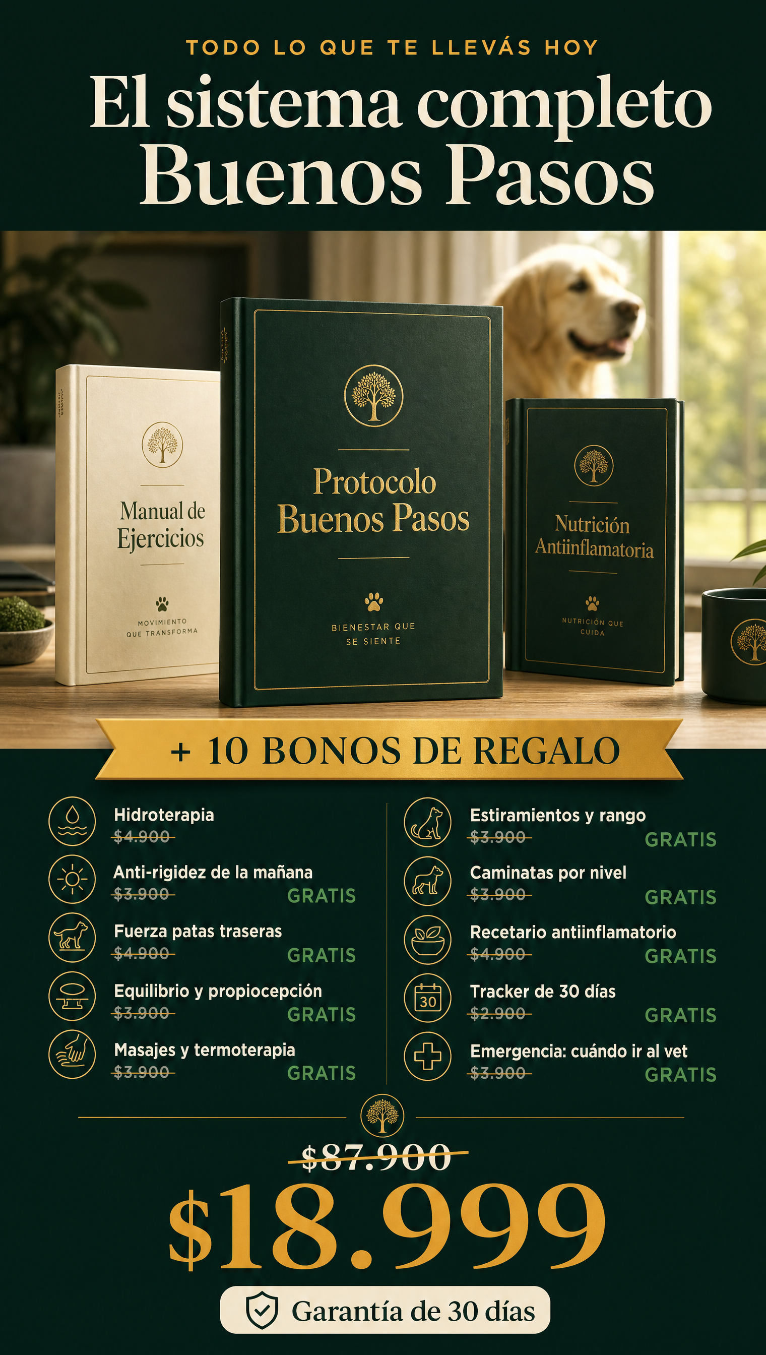 Protocolo Buenos Pasos